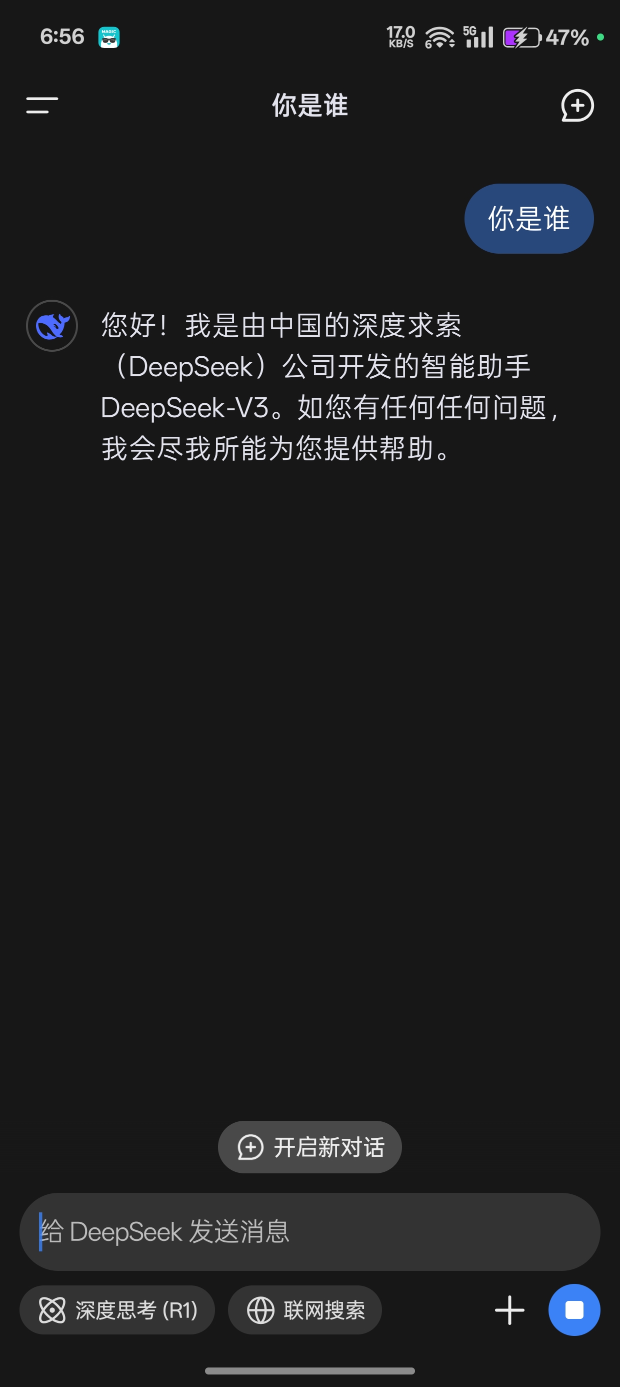 DeepSeekV1.0.6 第6张插图