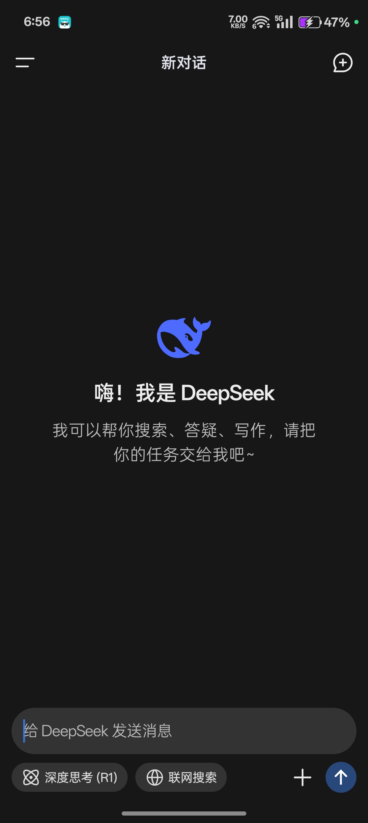 DeepSeekV1.0.6 第3张插图