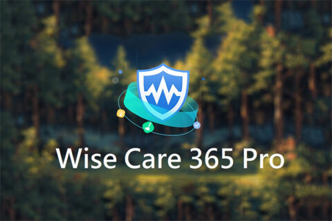 win电脑管理维护配置WiseCare365精简绿色 第3张插图