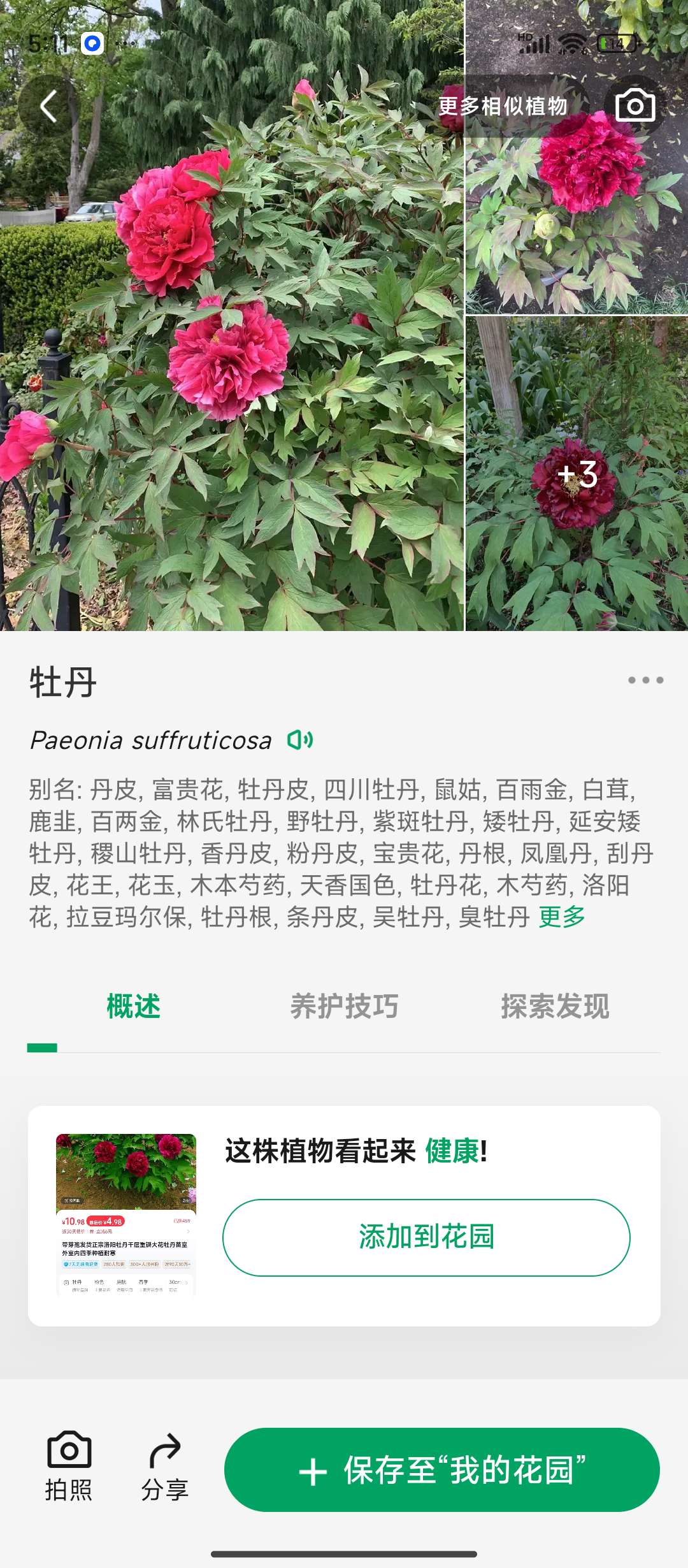 植物识别软件3.2.8 第6张插图