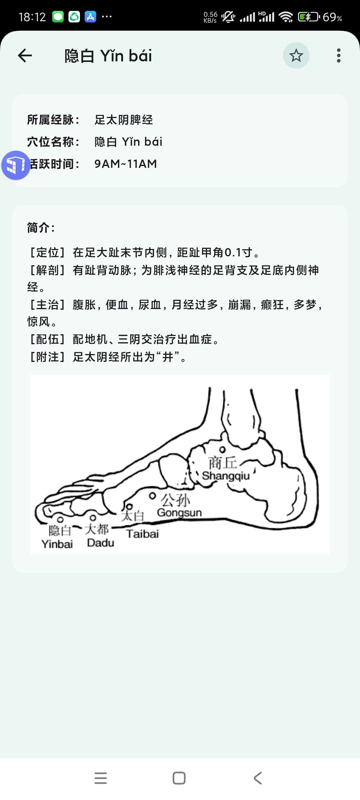 人体穴位图解3.1.5适合针灸中医！治内科肾虚必备！ 第8张插图