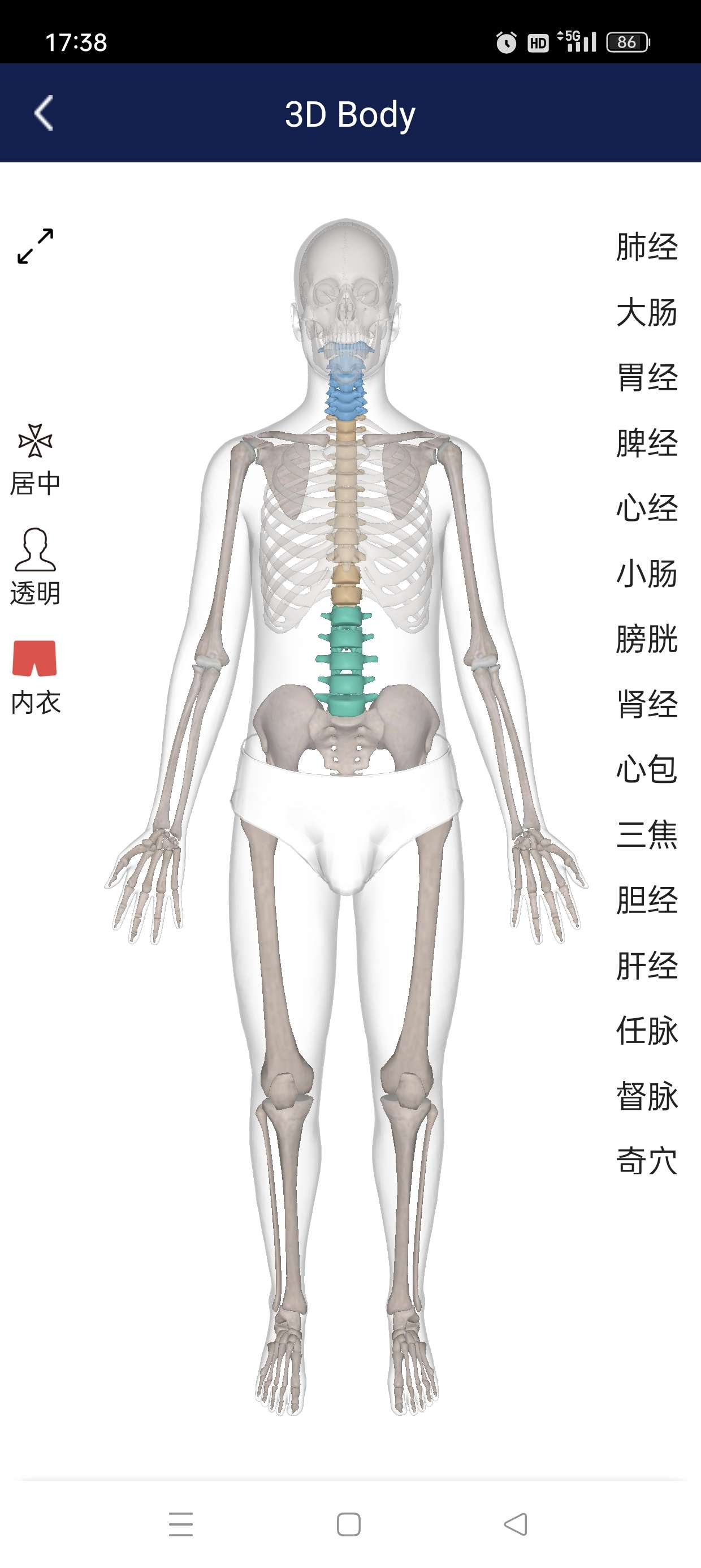 【原创修改】3D人体解剖图谱专业解剖知识/模型解锁会员 第7张插图